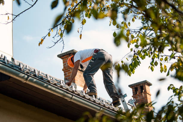 Best Roof Leak Repair  in Ely, MN