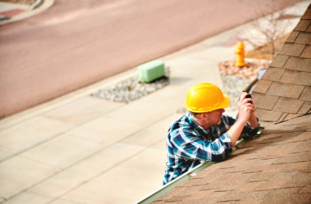 Best Roof Gutter Cleaning  in Ely, MN