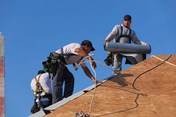 Quick and Trustworthy Emergency Roof Repair Services in Ely, MN