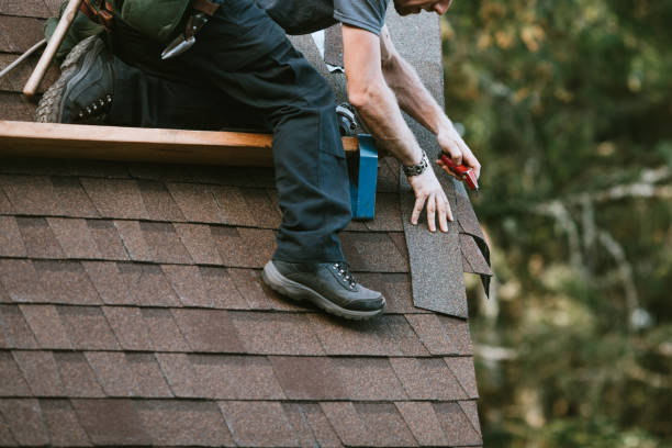 Sealant for Roof in Ely, MN